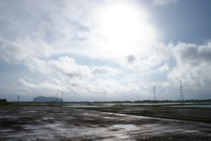 DSC03653
