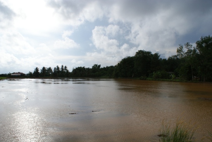 DSC03661