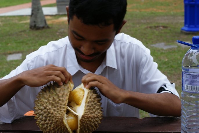 kopek durian