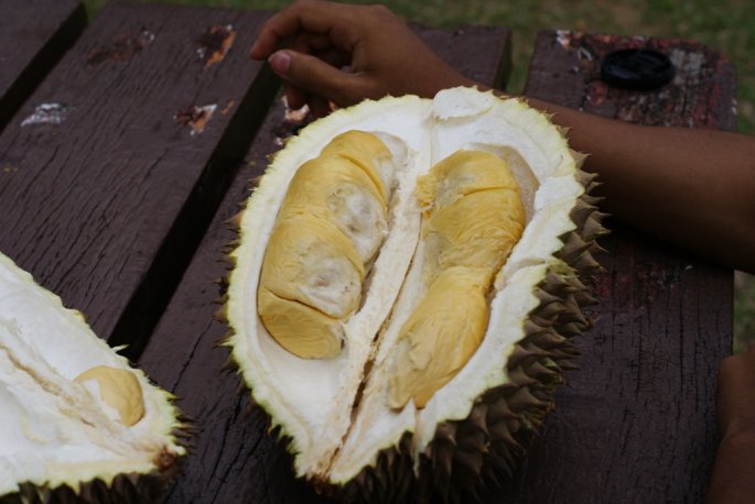 durian